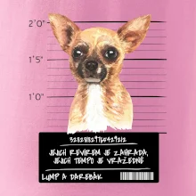 Lump a darebák čivava