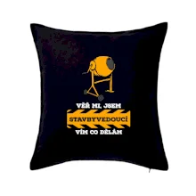 Vím co dělám stavbyvedoucí