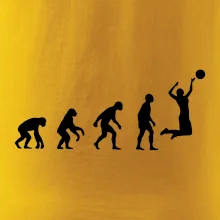 Evoluce volejbal žena Evoluce volejbal žena