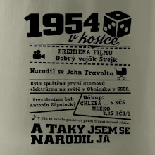 1954 v kostce