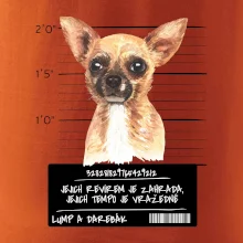 Lump a darebák čivava