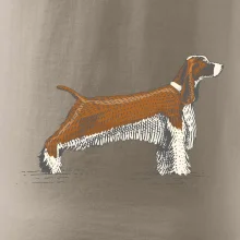 Vintage Springer spaniel