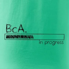 In progress  titul BcA. bakalář / bakalářka umění