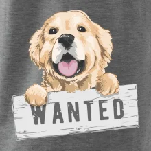 Zlatý retriever - štěně wanted