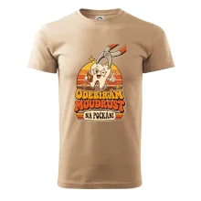 Odebírám moudrost na počkání