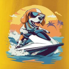 Bígl na vodním skútru