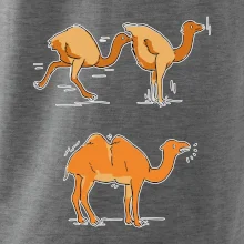Pravda o velbloudech