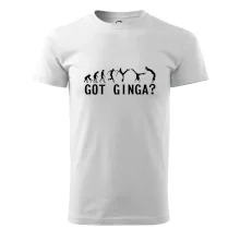 Capoeira - Got Ginga