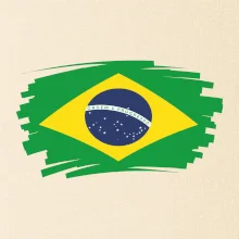 Brazílie vlajka štětkou