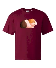 Morče - kreslené z boku