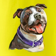 Americký stafordširský teriér  kreslený