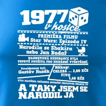1977 v kostce