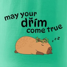 May your dřím come true