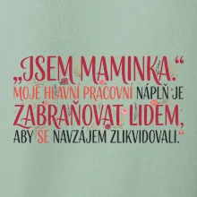 Moje hlavní pracovní náplň je zabraňovat lidem