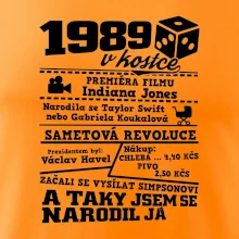 1989 v kostce