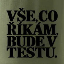 Vše co říkám bude v testu