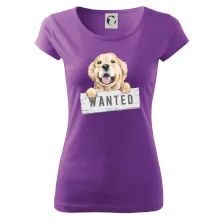 Zlatý retriever - štěně wanted