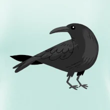 Vrána kreslená  (studio-arte.cz)