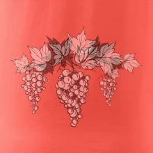 Vinné hrozny šedé