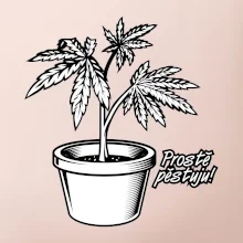 Konopi prostě pěstuju