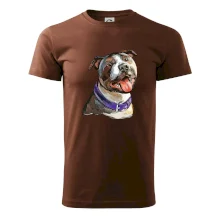 Americký stafordširský teriér  kreslený