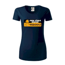 Jsem týhle stavby vedoucí