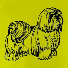 Shih-tzu - chlupatý