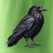 Zvířata Jizerských hor- Krkavec velký