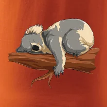 Koala na větvi