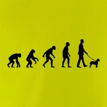 Lagotto romagnolo Evoluce