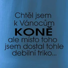 Chtěl jsem dostat k Vánocům koně