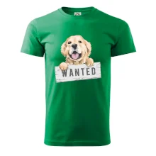 Zlatý retriever - štěně wanted