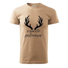 Harry - Expecto patronum