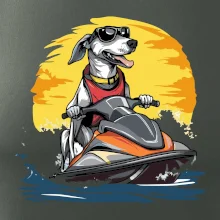 Chrt na vodním skútru