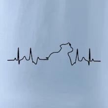 Stafordšírsky bulteriér EKG