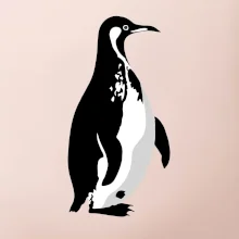 Tučňák černobílý z boku