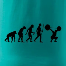 Evolution fitness
