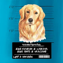 Lump a darebák zlatý retrívr