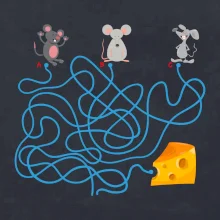 Myší cesta hlavolam