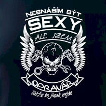 Nesnáším být sexy - opravář