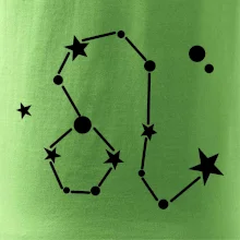 Souhvězdí - Leo - Lev