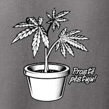 Konopi prostě pěstuju