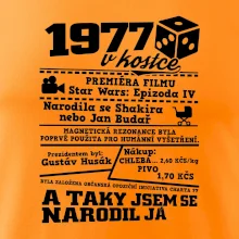 1977 v kostce