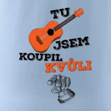 Tu kytaru jsem koupil kvůli tobě
