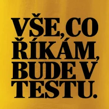 Vše co říkám bude v testu