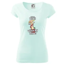 Jednou Plzeň vždycky Plzeň