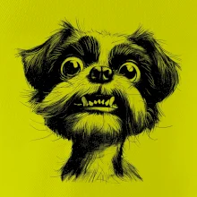 Černobílá karikatura Ši-tzu