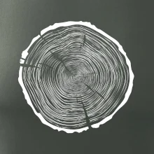 Letokruhy 85 bez věku