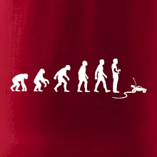 Evoluce RC model auto