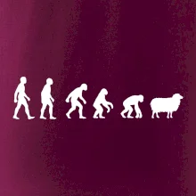 Evoluce ovce